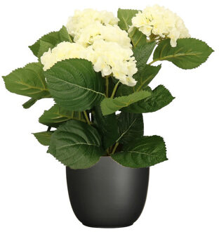 Hortensia kunstplant/kunstbloemen 36 cm - wit - in pot zwart mat - Kunstplanten