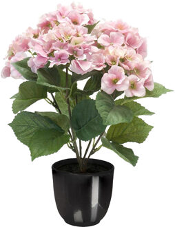 Hortensia kunstplant/kunstbloemen 40 cm - roze - in pot zwart glans - Kunstplanten