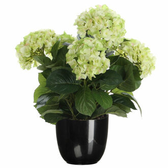 Hortensia kunstplant/kunstbloemen 45 cm - groen - in pot zwart - Kunstplanten