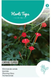 Hortitops Kardinaalswinde Rood (Ipomoea quamoclit)
