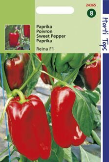 Hortitops Paprika Solero F1 (vh Reina)