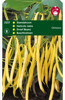 Hortitops Stamslabonen Orinoco - Groentezaden - 100 gram