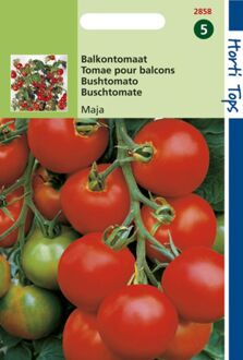 Hortitops Tomaten Maja -Balkontomaat Amateur Variety