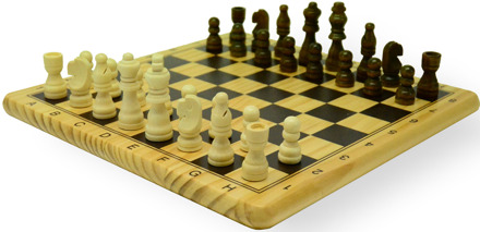 HOT Games Schaak & Dam-Set (29cm)