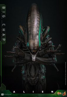 Hot Toys 1/6 Big Chap - Alien