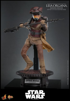 Hot Toys 1/6 Leia Organa (Boushh Disguise) - Return of the Jedi Figure