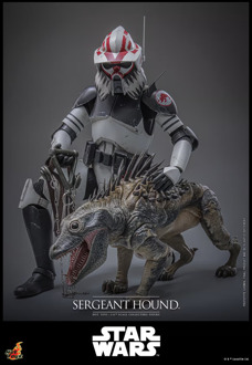 Hot Toys 1/6 Sergeant Hound - Star Wars: The Clone Wars