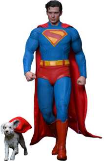 Hot Toys 1/6 Superman & Krypto Figure