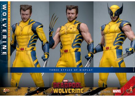 Hot Toys Deadpool & Wolverine Movie Masterpiece Action Figure 1/6 Wolverine (Deluxe Version) 31 cm