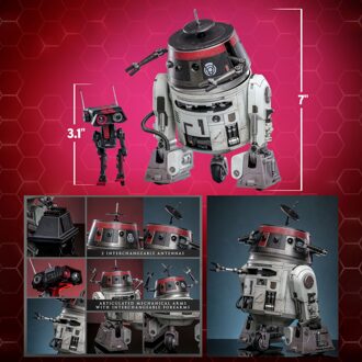 Hot Toys Star Wars Chopper C1-10P & BD-1 (Imperial Disguise) 1/6th Scale Collectible Figure Set (18cm)