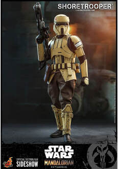 Hot Toys Star Wars The Mandalorian Actiefiguur 1/6 Shoretrooper 30 cm