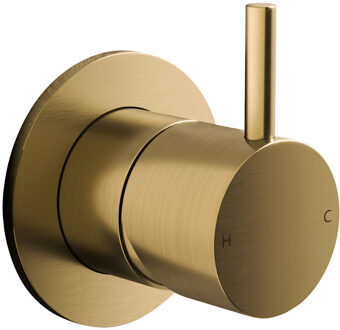 Hotbath Afbouwdeel Inbouw Douchemengkraan Hotbath Cobber 1-hendel Geborsteld Messing Living Colours