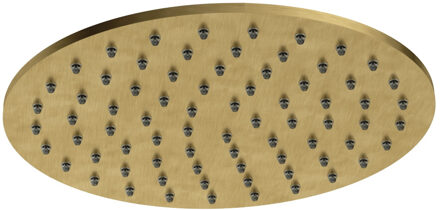 Hotbath Archie Hoofddouche - rond - 20cm - BBP - Geborsteld Messing PVD AR100BBP Messing geborsteld (goud)