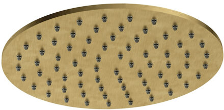 Hotbath Archie Hoofddouche - rond - 20cm - BBP - Geborsteld Messing PVD AR100BBP Messing geborsteld (goud)