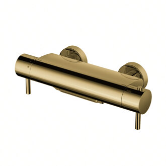 Hotbath Badkraan Hotbath Cobber Thermostaat Waterval Uitloop Gepolijst Messing Living Colours