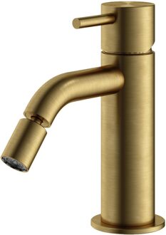 Hotbath Bidetmengkraan Hotbath Archie Geborsteld Messing PVD