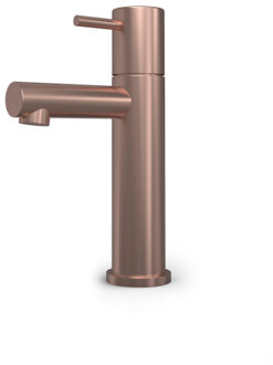 Hotbath Buddy Fonteinkraan - L uitloop 8.5cm - opbouw - PVD - geborsteld koper E001BCP Koper geborsteld