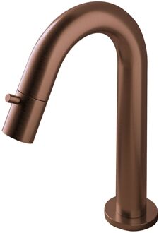 Hotbath Buddy Fonteinkraan - U uitloop 11.8cm - opbouw - PVD geborsteld koper U001BCP Koper geborsteld