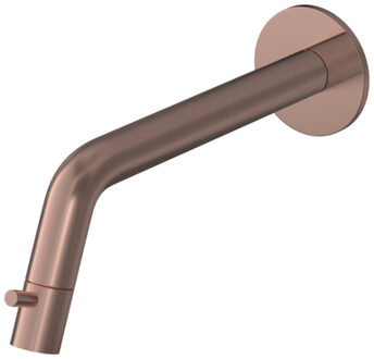 Hotbath Buddy Fonteinkraan - uitloop 18.6cm - inbouw - inkortbaar - PVD - geborsteld koper UW001BCP Koper geborsteld