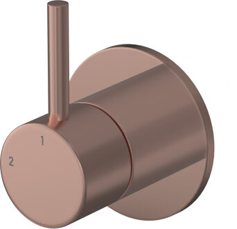 Hotbath Buddy inbouw 2-weg omstel geborsteld koper PVD
