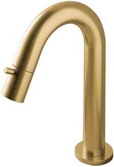 Hotbath Cobber Fonteinkraan opbouw - u-uitloop 11.8cm - geborsteld messing U001BB Messing geborsteld (goud)