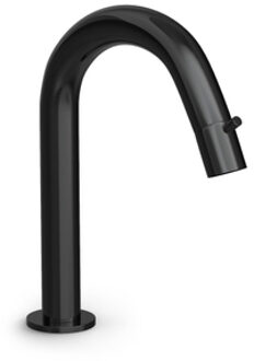 Hotbath Cobber gebogen fonteinkraan gepolijst zwart PVD
