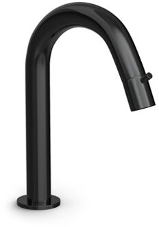 Hotbath Cobber gebogen fonteinkraan gepolijst zwart PVD