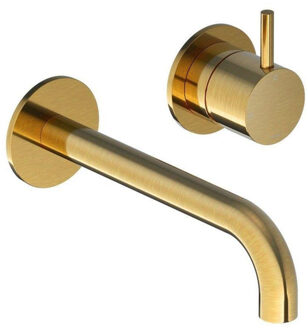 Hotbath Cobber wastafelkraan inbouw messing geborsteld PVD CB005EXT18BBP / HBCB005 Messing geborsteld (goud)