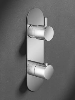 Hotbath Douchekraan Hotbath Buddy Inbouw 2-weg Verticaal Chroom