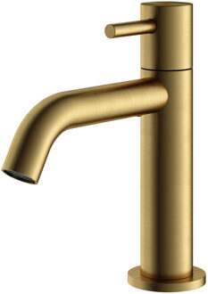 Hotbath Fonteinkraan Archie Geborsteld Messing PVD