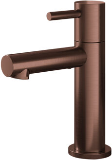 Hotbath Fonteinkraan Hotbath Cobber 1-hendel Recht 14.8 cm Rond Geborsteld Koper PVD