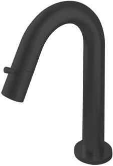 Hotbath Fonteinkraan Hotbath Dude 1-knop gebogen 19.3 cm Rond Mat Zwart