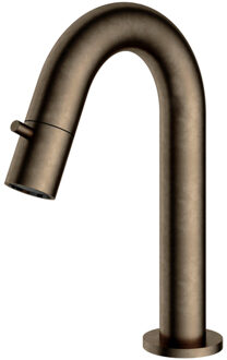 Hotbath Fonteinkraan Hotbath Dude 1-knop gebogen 19.3 cm Rond Verouderd Messing Living Colours