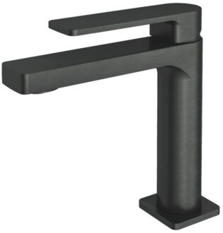 Hotbath Gal Wastafelmengkraan zonder waste Geborsteld Gunmetal PVD GL003BGP Gunmetal geborsteld (antraciet)