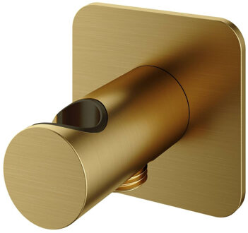 Hotbath Handouchehouder Gal Met Wanduitlaat Geborsteld Messing PVD