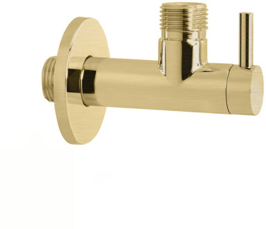 Hotbath Hoekstopkraan Hotbath Cobber Rond met Filter Geborsteld Messing PVD