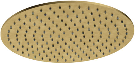 Hotbath Hoofddouche Archie 30 cm 8 mm Geborsteld Messing PVD