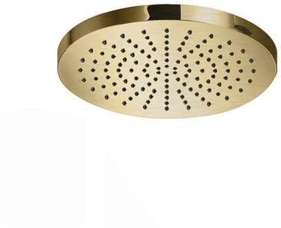 Hotbath Hoofddouche Hotbath Cobber Opbouw 20 cm Geborsteld Messing PVD