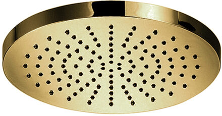 Hotbath Hoofddouche Hotbath Cobber Opbouw 20 cm Gepolijst Messing Living Colours