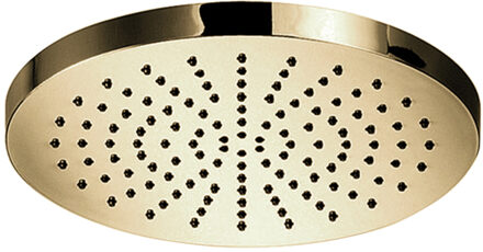 Hotbath Hoofddouche Hotbath Cobber Opbouw 20 cm Gepolijst Messing PVD