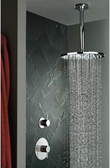 Hotbath Hoofddouche Hotbath Mate Opbouw 20 cm Geborsteld Messing Living Colours