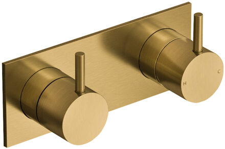 Hotbath Inbouw Douchemengkraan Hotbath Cobber 2-weg Geborsteld Messing Living Colours