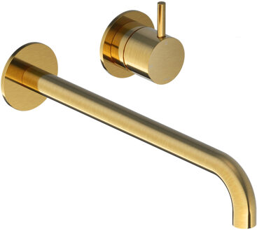 Hotbath Inbouw Wastafelkraan Cobber 25 cm Gebogen Uitloop 1-Hendel Geborsteld Messing PVD