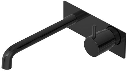 Hotbath Inbouw Wastafelkraan Met Achterplaat Hotbath Cobber 18cm Gebogen Uitloop 1-Hendel Gepolijst Zwart PVD