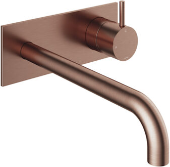 Hotbath Inbouw Wastafelkraan Met Achterplaat Hotbath Cobber 25cm Gebogen Uitloop 1-Hendel Geborsteld Koper PVD