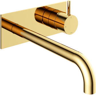 Hotbath Inbouw Wastafelkraan Met Achterplaat Hotbath Cobber 25cm Gebogen Uitloop 1-Hendel Gepolijst Messing PVD