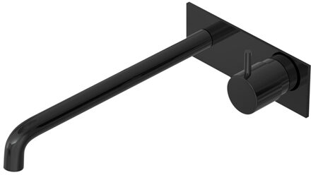 Hotbath Inbouw Wastafelkraan Met Achterplaat Hotbath Cobber 25cm Gebogen Uitloop 1-Hendel Gepolijst Zwart PVD