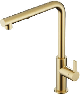 Hotbath Keukenmengkraan Hotbath Ace Met Draaibare Uitloop En Uittrekbare Duo-Spray Handdouche Geborsteld Messing PVD