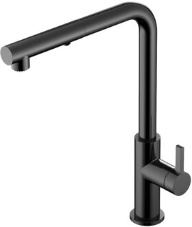 Hotbath Keukenmengkraan Hotbath Ace Met Draaibare Uitloop En Uittrekbare Duo-spray Handdouche Gepolijst Zwart PVD