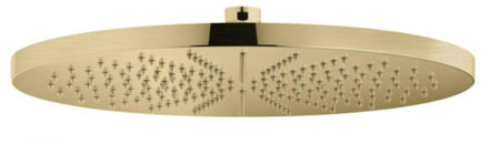 Hotbath Mate hoofddouche 30cm rond messing geborsteld PVD M106BBP Messing geborsteld (goud)